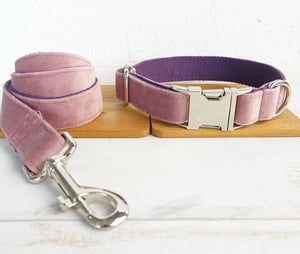 Unleash the Adventure: The Ultimate Dog Leash Pet Collar