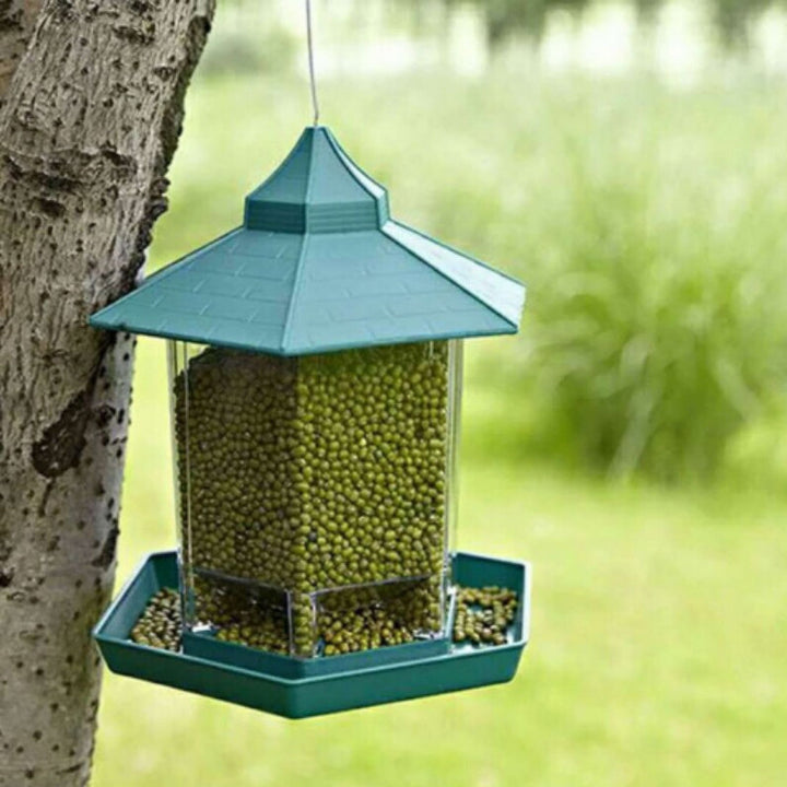 Enhance Your Outdoor Space with Our Waterproof Bird Feeder