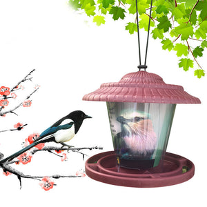 Enhance Your Outdoor Space with Our Plastic Transparent Bird Feeder