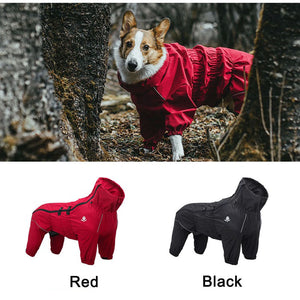 The Ultimate Comfort for Your Pet: Four Legged All Inclusive Pet Sweater