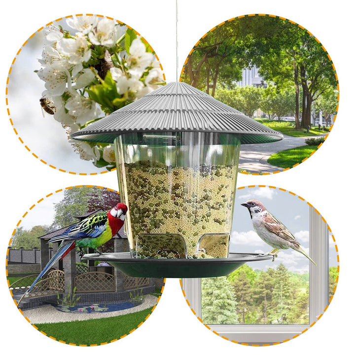Enhance Your Outdoor Space with Our Stunning Bird Feeder