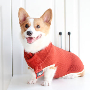 Dog Clothes Vintage Twist Pet Sweater: A Timeless Fashion Statement for Your Furry Friend