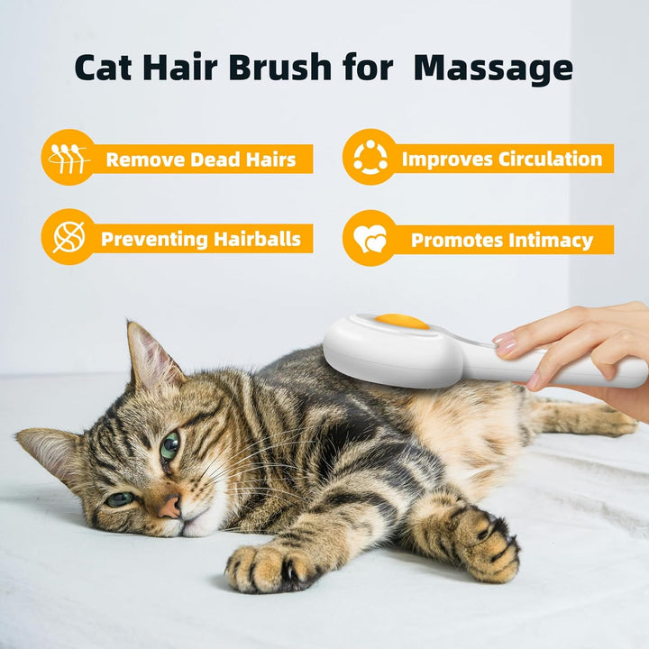 Self Cleaning Brush Removes Loose Fur