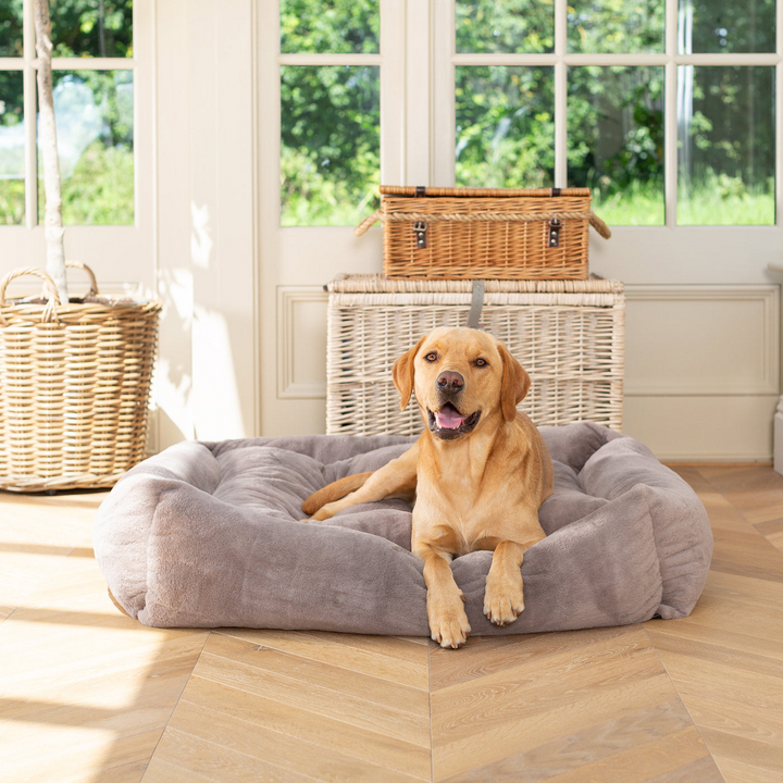 Creating the Perfect Home for Your Pets