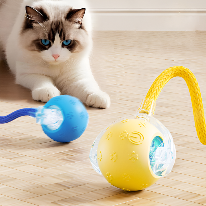 How to Keep Pets Happy and Healthy