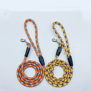 The Ultimate Nylon Leash for Your Furry Friends