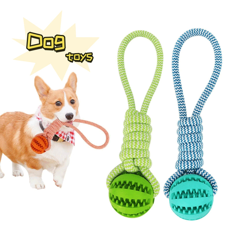 Ball on a rope toy