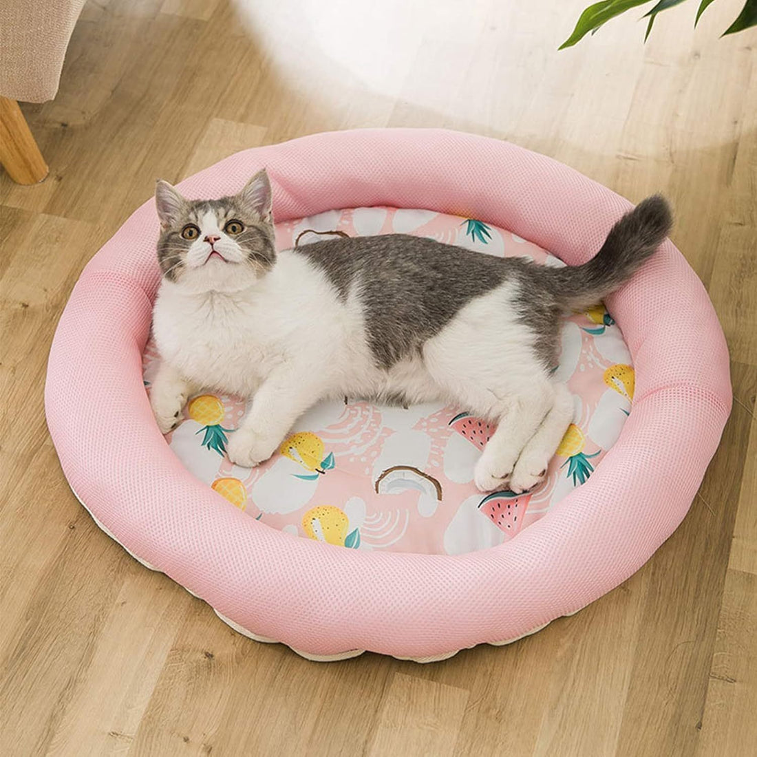 Cooling Round Breathable Pet Bed