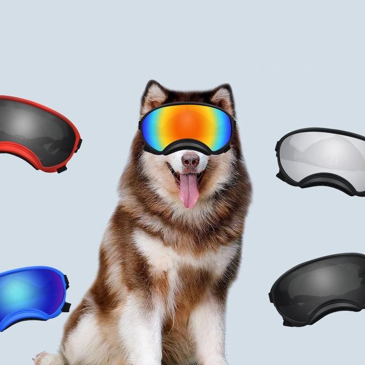 Dog Ski Sunglasses