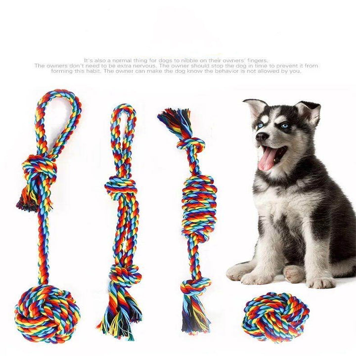 Braided Rope Toy (Default)