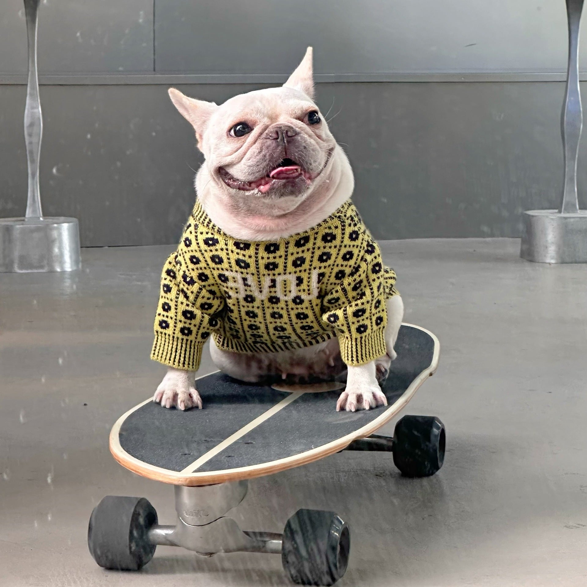 Dog Pet Winter Sweater