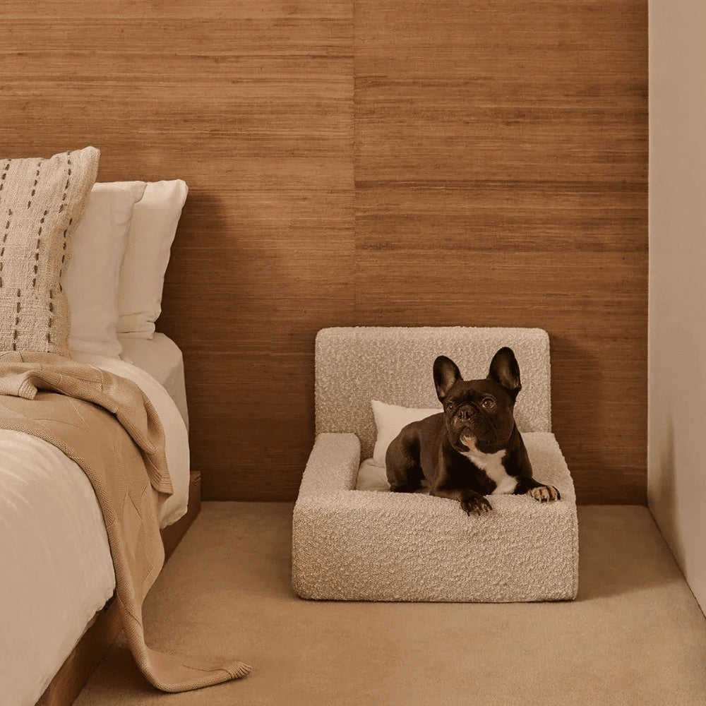 Pet Sofa
