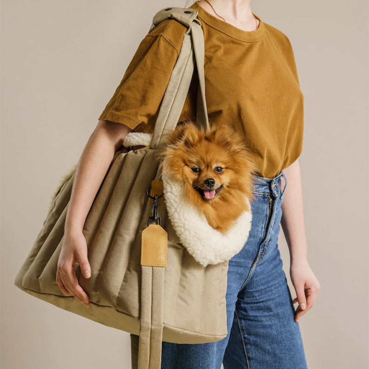 Pet Light Waterproof Carrier