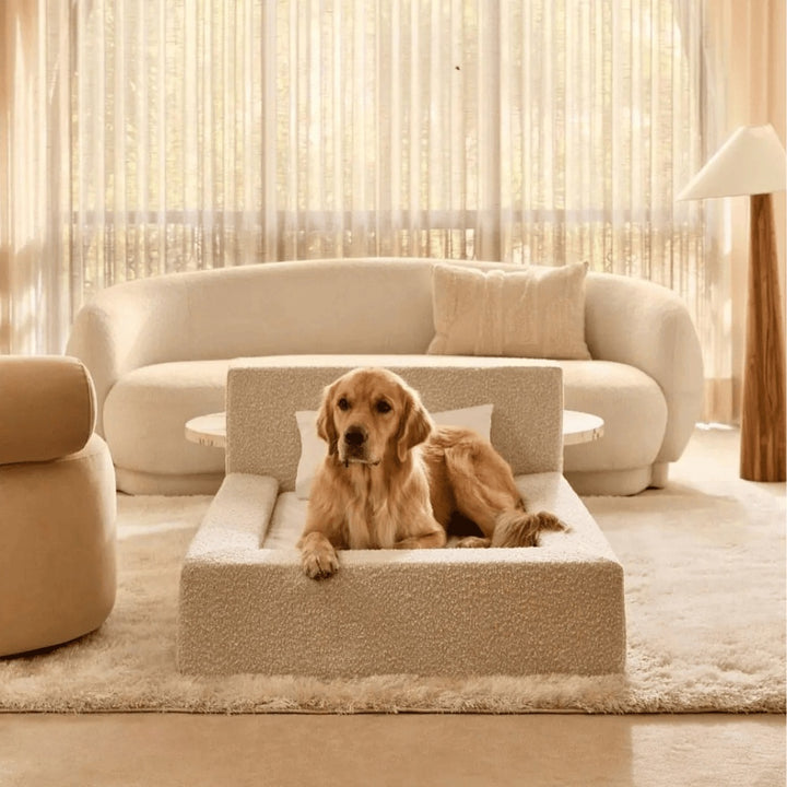Pet Sofa
