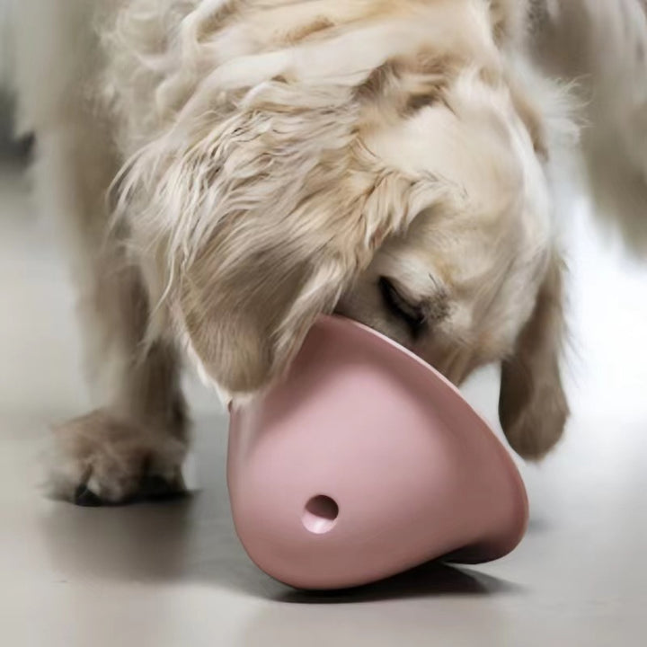 Dog Interactive Chewing Toy