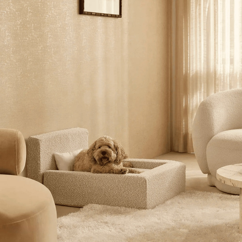 Pet Sofa