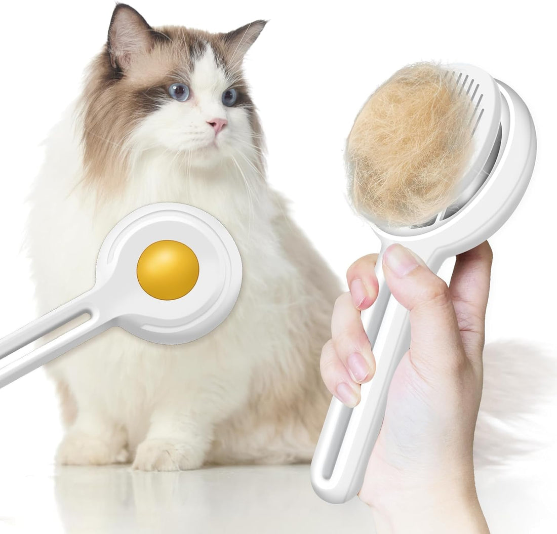 Self Cleaning Brush Removes Loose Fur