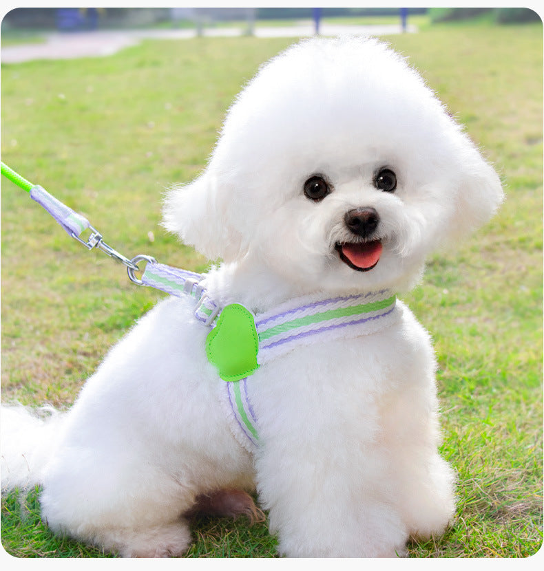 Dog Summer Breathable Walking Dog Leash