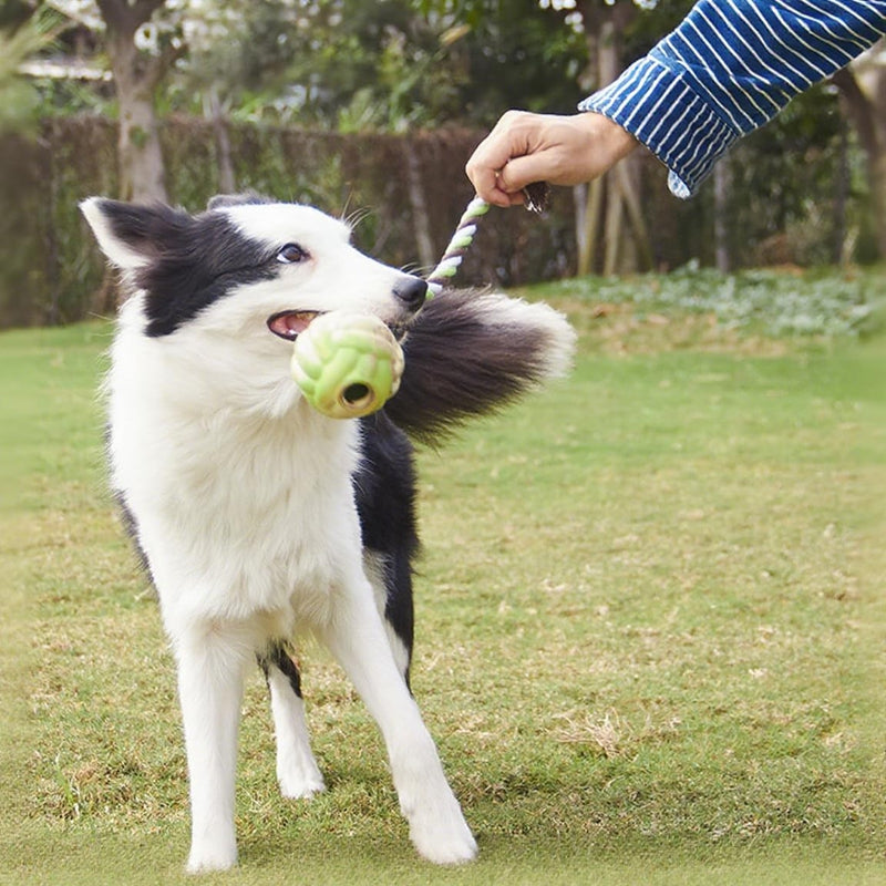 Ball Knot Dog Toys, Interactive Puppy Toys For Tug-of-war, Eco-friendly Cotton Rope Toys, Medium And Small-sized Dog Breeds, Not Suitable For Dogs With Strong Aggressive Chewing