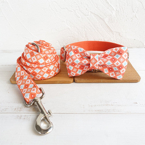 Dreamsicle leash and collar set