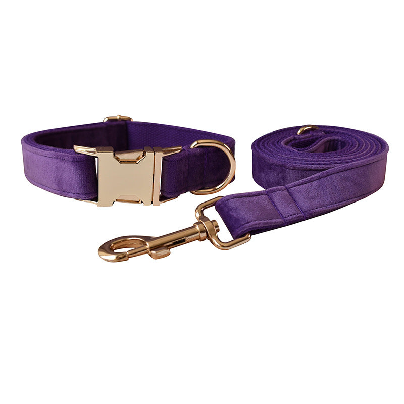 Dog Leash Pet Collar With Alloy Carabiner