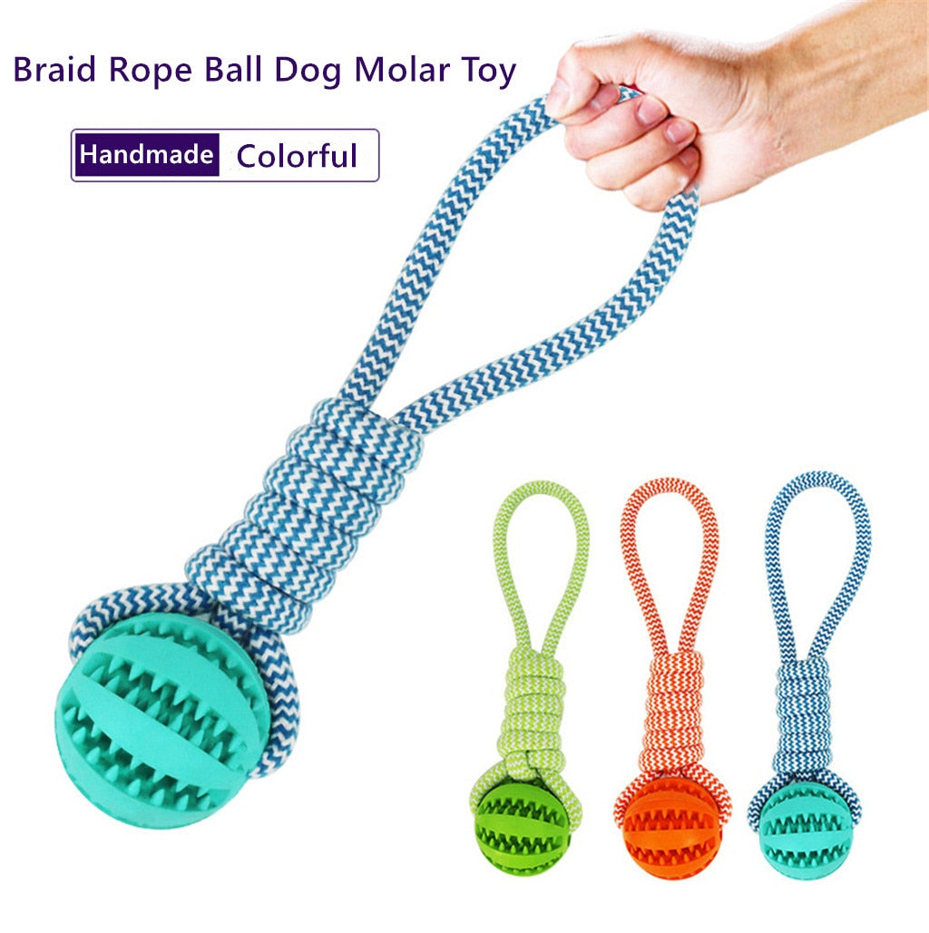 Ball on a rope toy