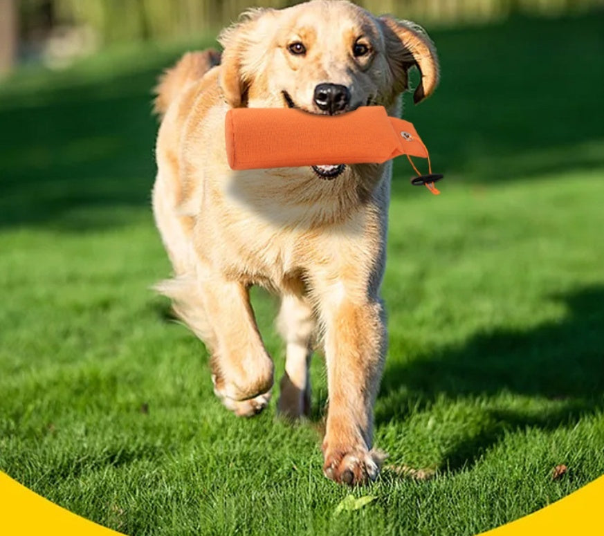 Personalized Decompression Dog Toy Supplies