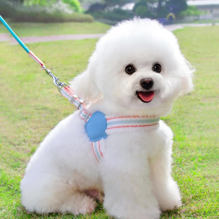 Dog Summer Breathable Walking Dog Leash