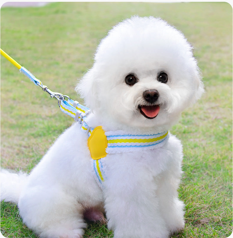 Dog Summer Breathable Walking Dog Leash