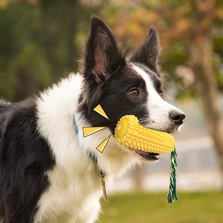 Corn Squeaky Toy