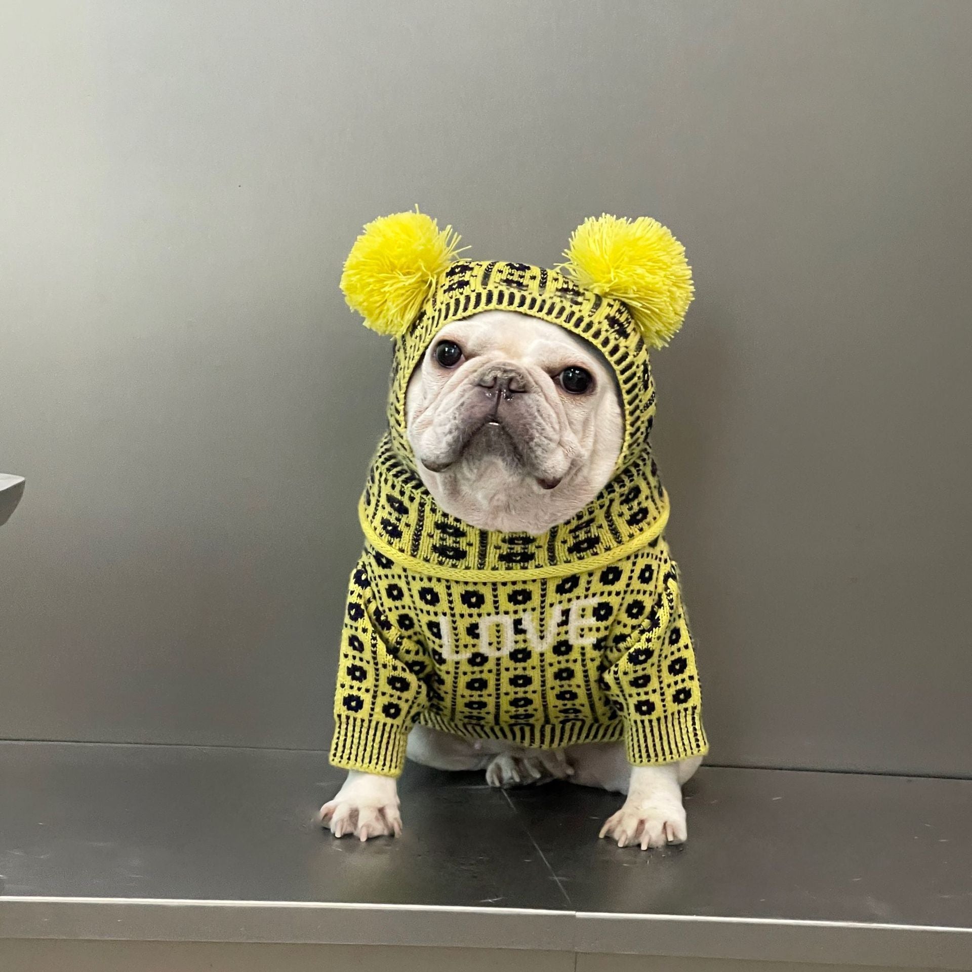 Dog Pet Winter Sweater