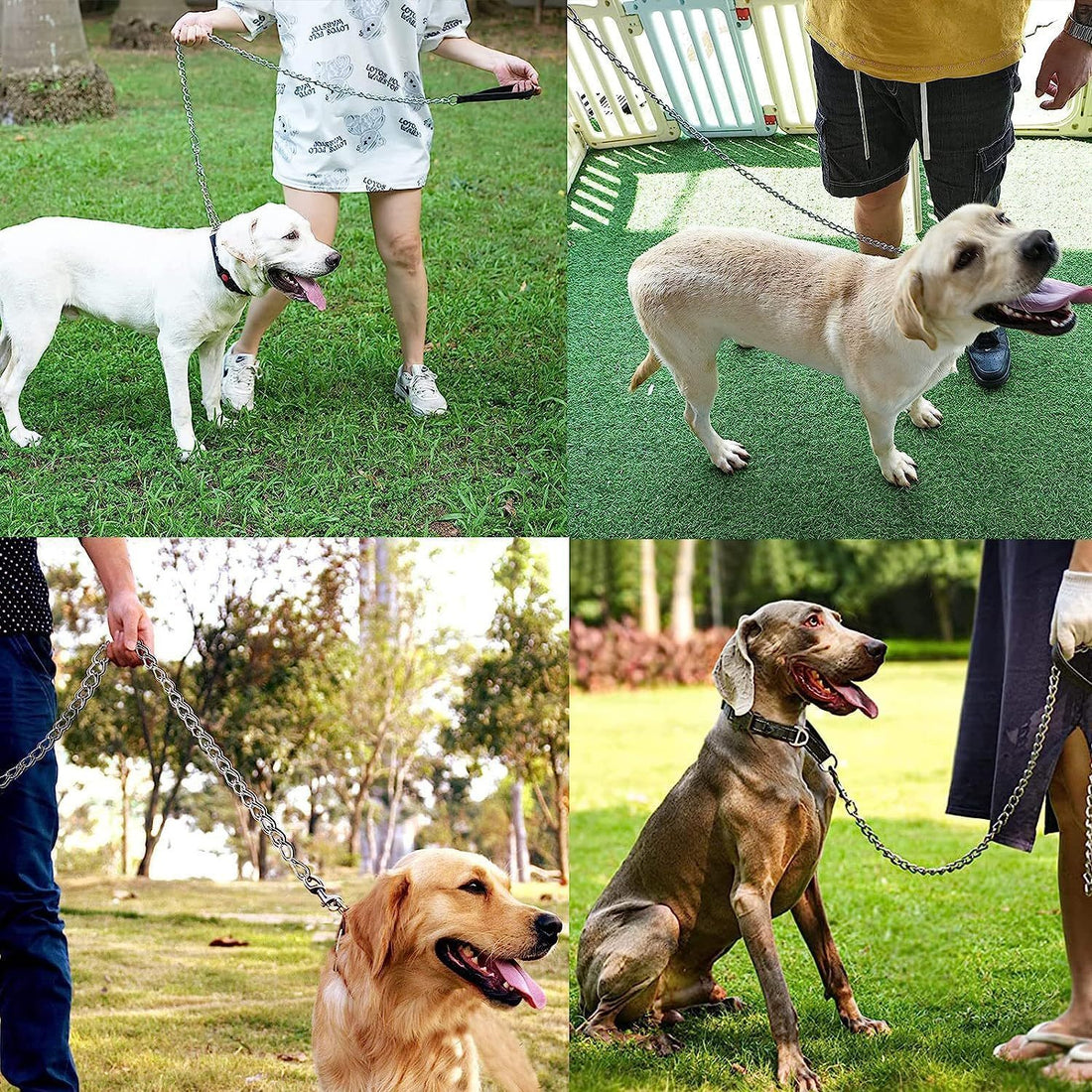 Heavy Duty Metal Dog Leash