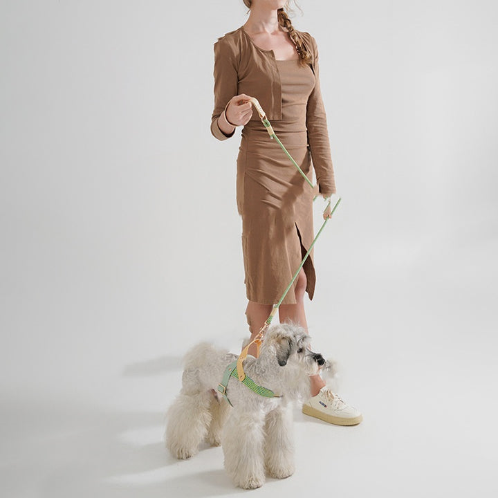 Dog Hand Holding Rope PVC Medium-sized Dog Safety Buckle