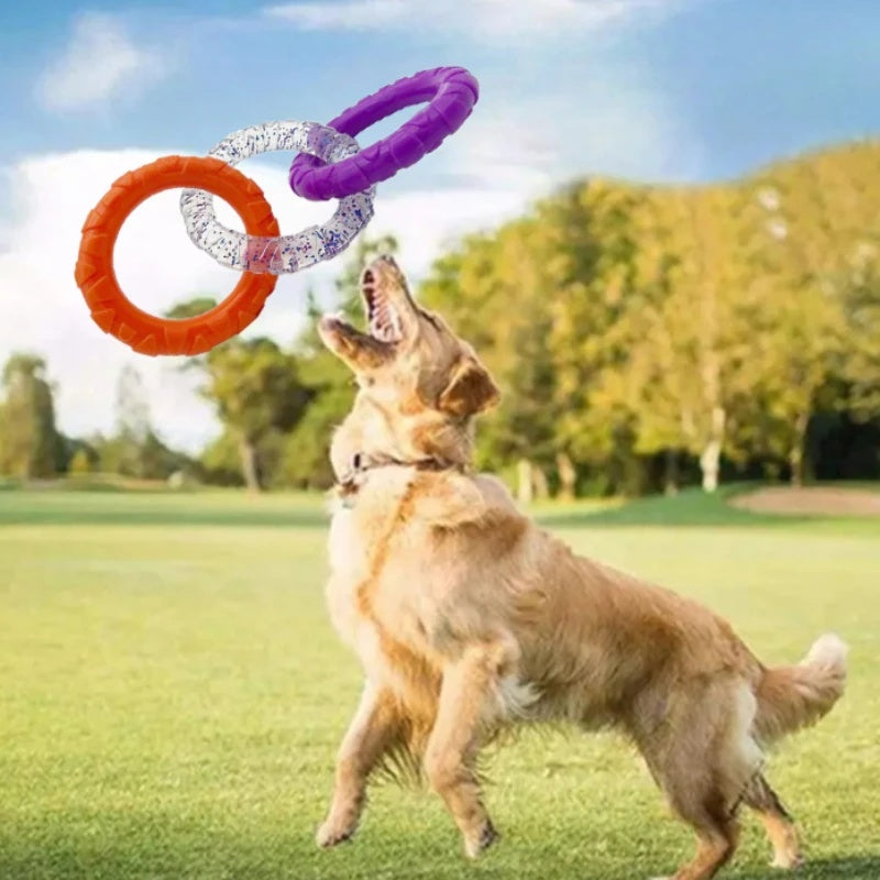 Ring Tug-of-War Toy