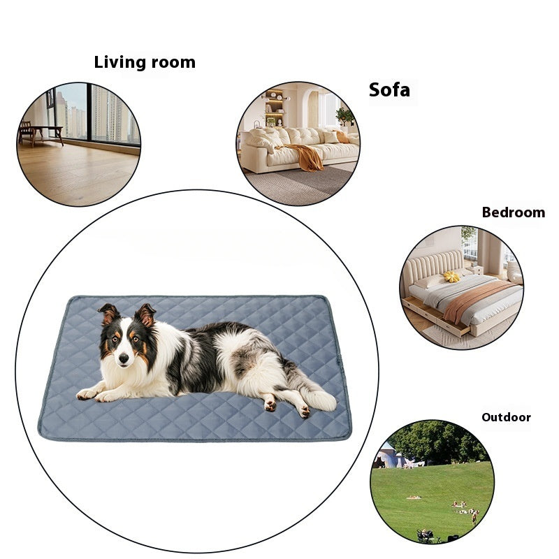Large Pet Mat