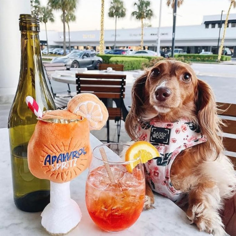 Apawrol" Spritz Plush