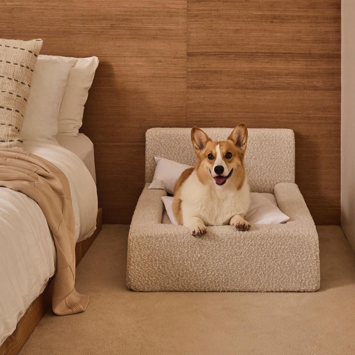 Pet Sofa