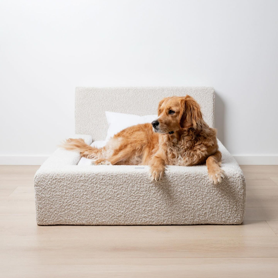 Pet Sofa