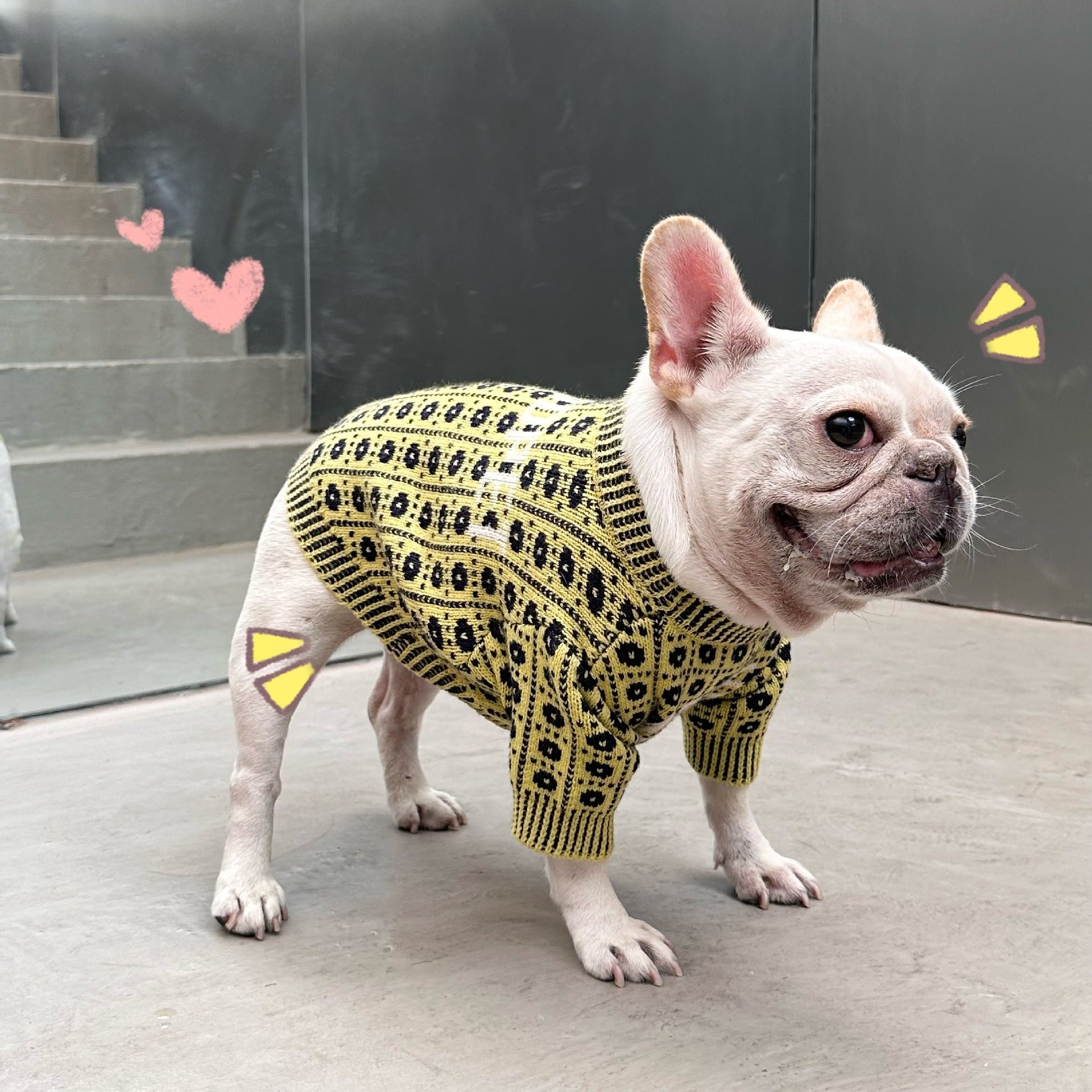 Dog Pet Winter Sweater