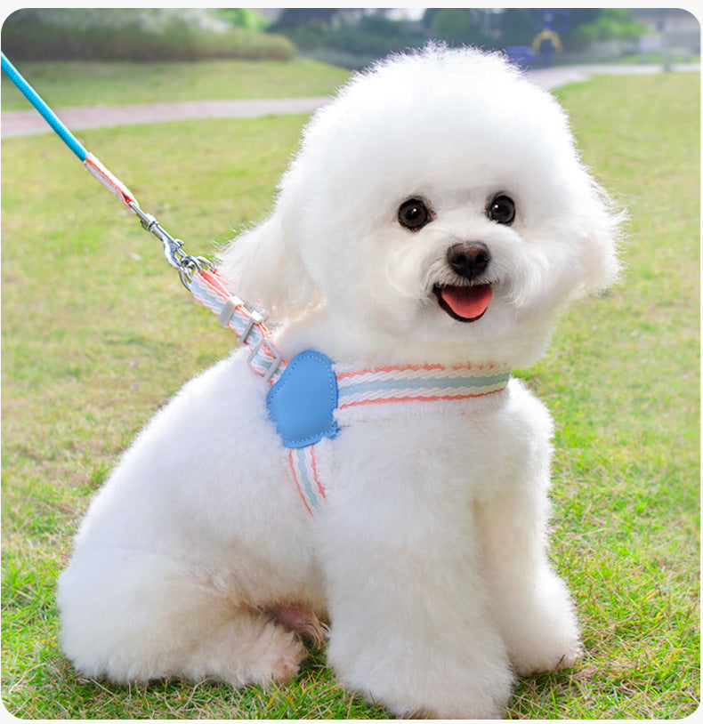 Dog Summer Breathable Walking Dog Leash