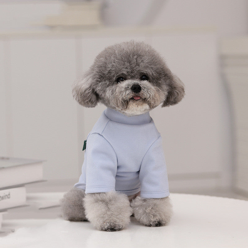 Snuggly Turtle Neck Shirt