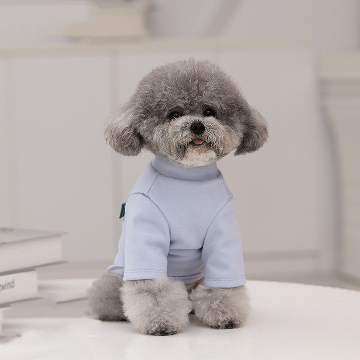 Snuggly Turtle Neck Shirt