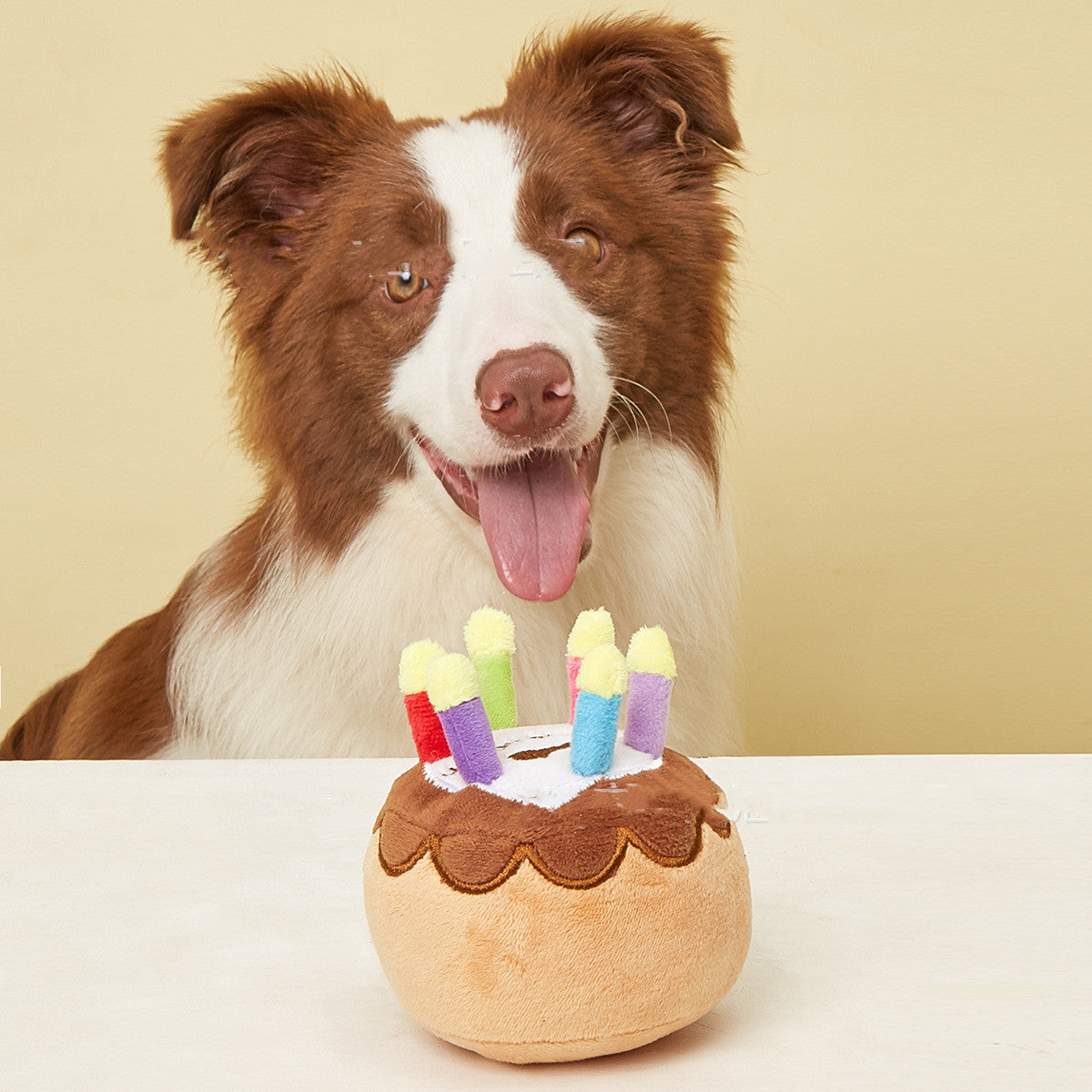 Plush Bday Cake Toy