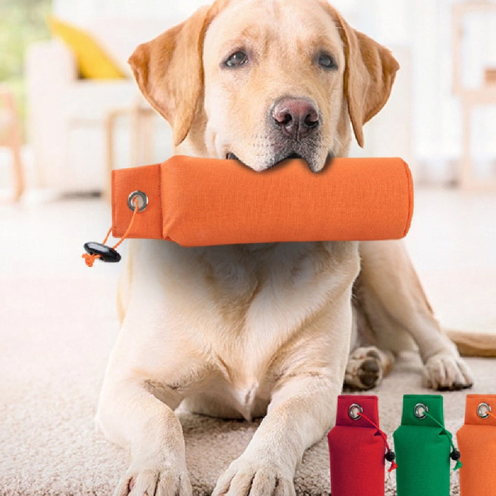 Personalized Decompression Dog Toy Supplies