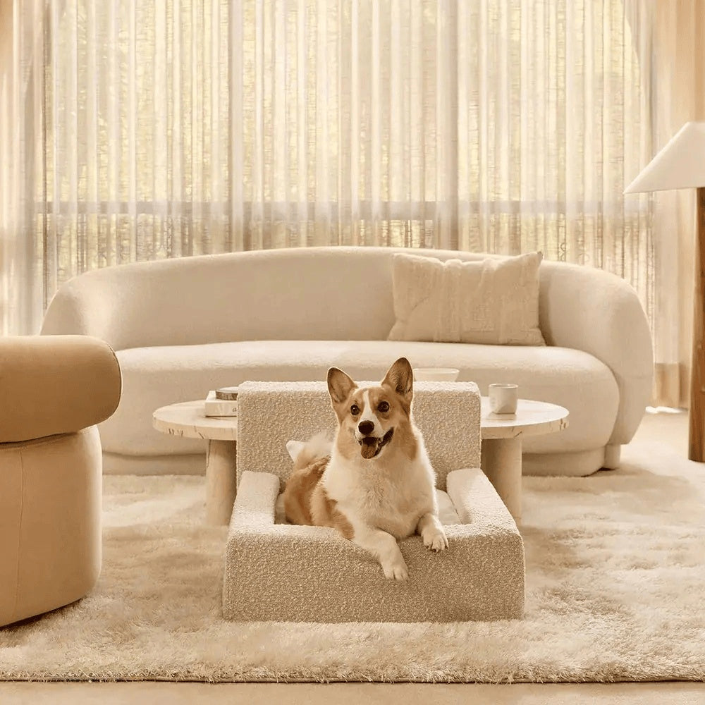 Pet Sofa