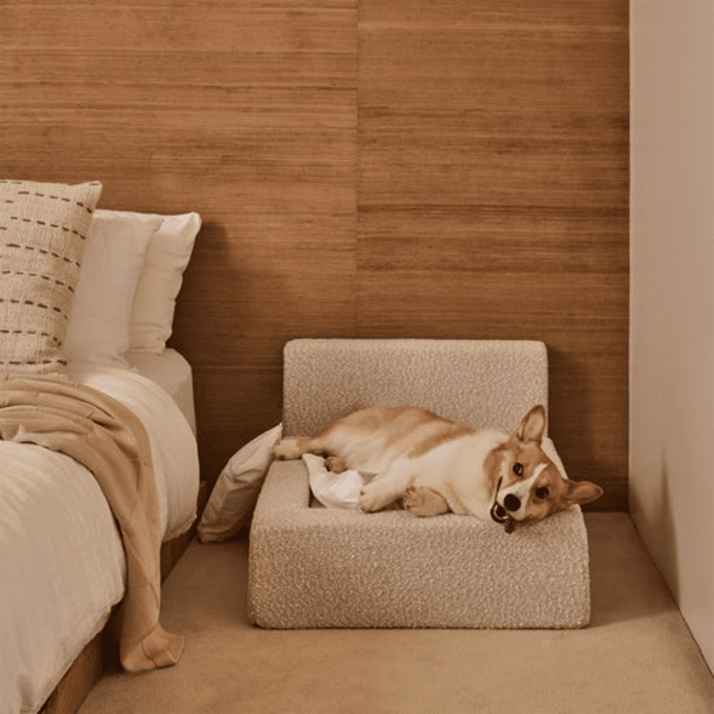 Pet Sofa