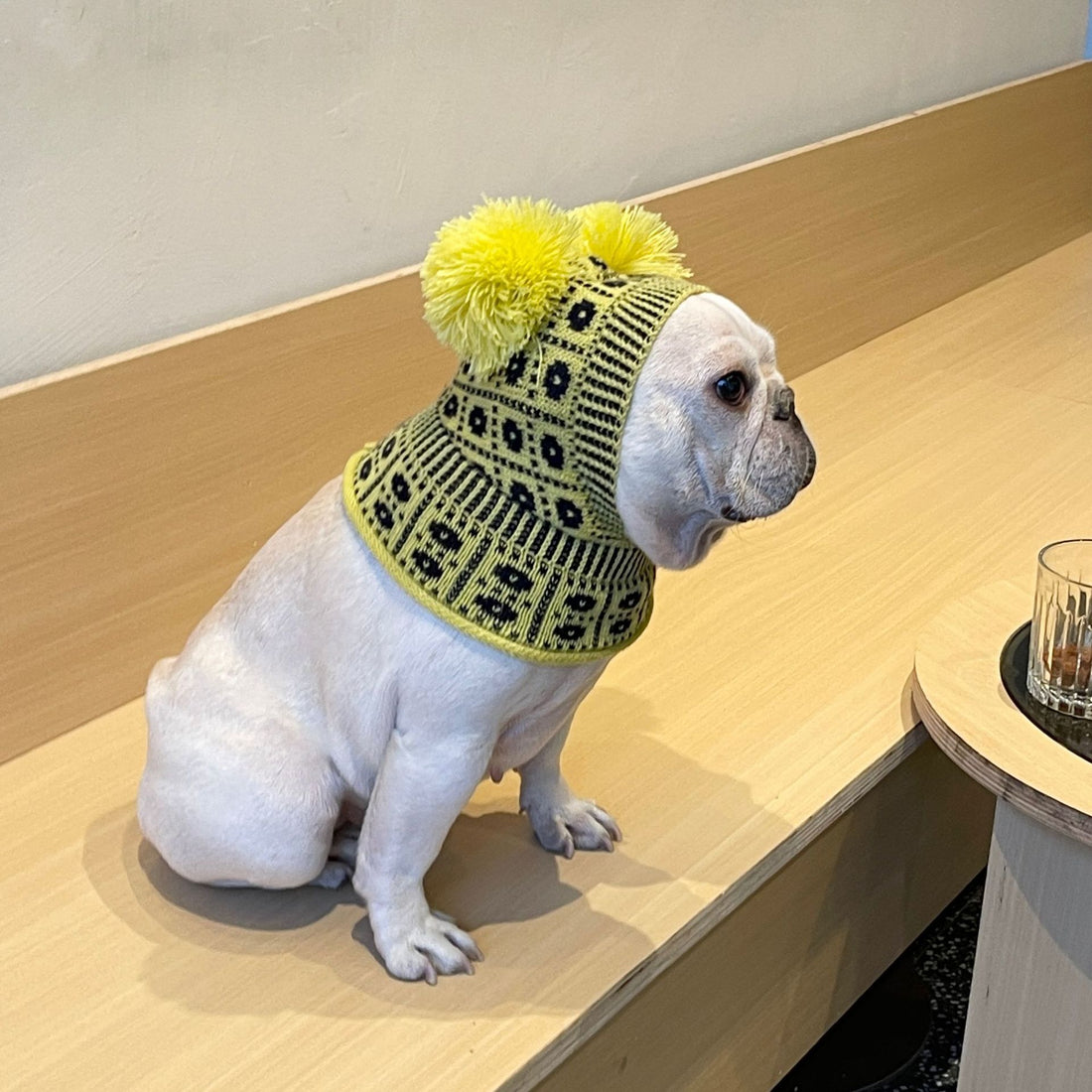 Dog Pet Winter Sweater