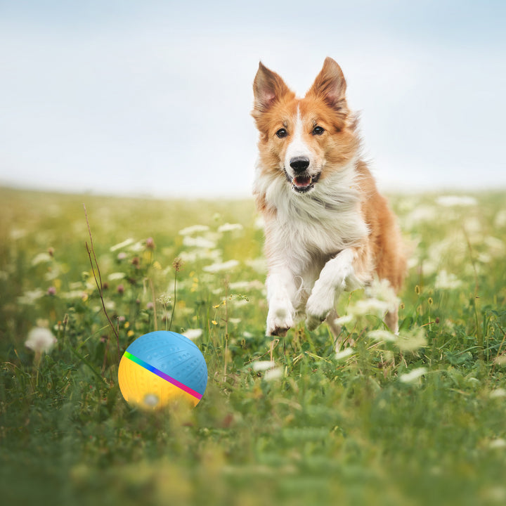 Bite-resistant Intelligent Toy Ball