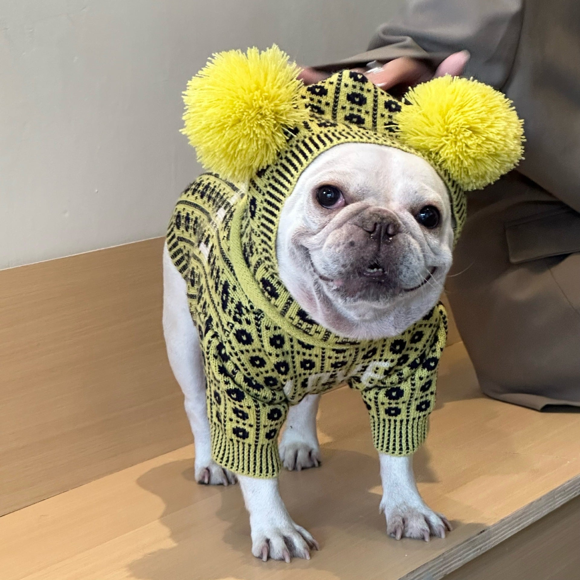 Dog Pet Winter Sweater