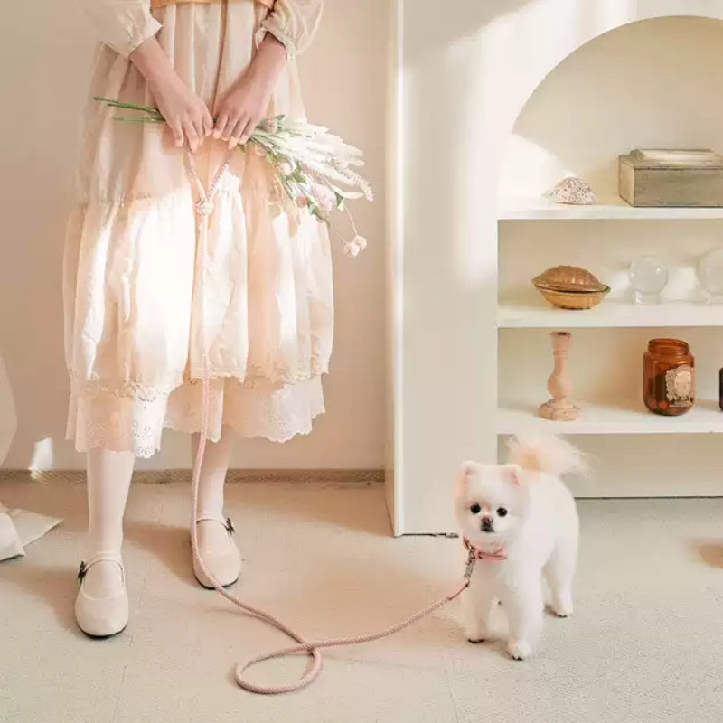 Dog Collar Leather Hand Holding Leash